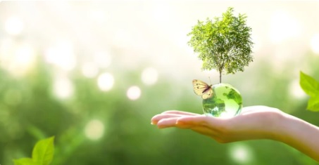 COMMUNITIES OF THE ENVIRONMENT